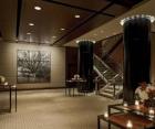 Park Hyatt Chicago-图片