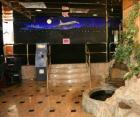 JFK Inn-图片
